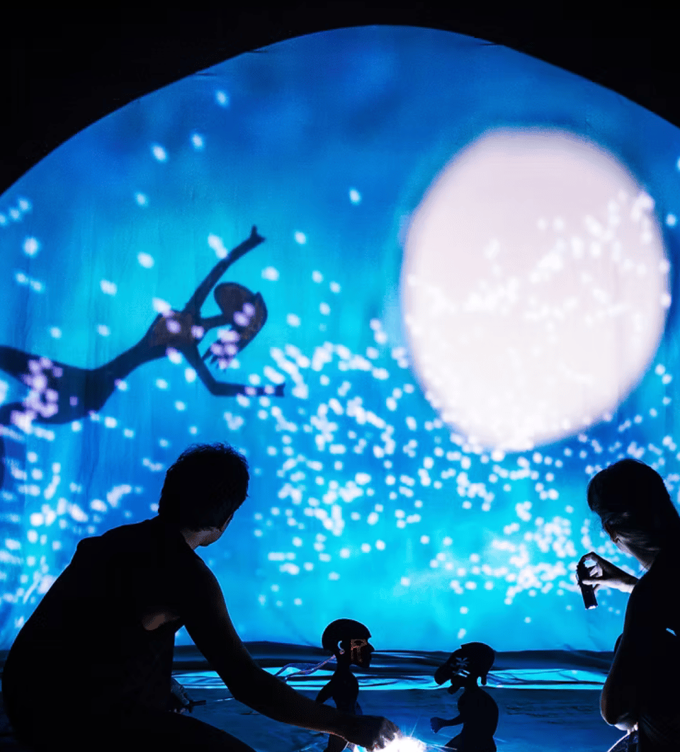 TEC – Contemporary Shadow Theatre Workshop